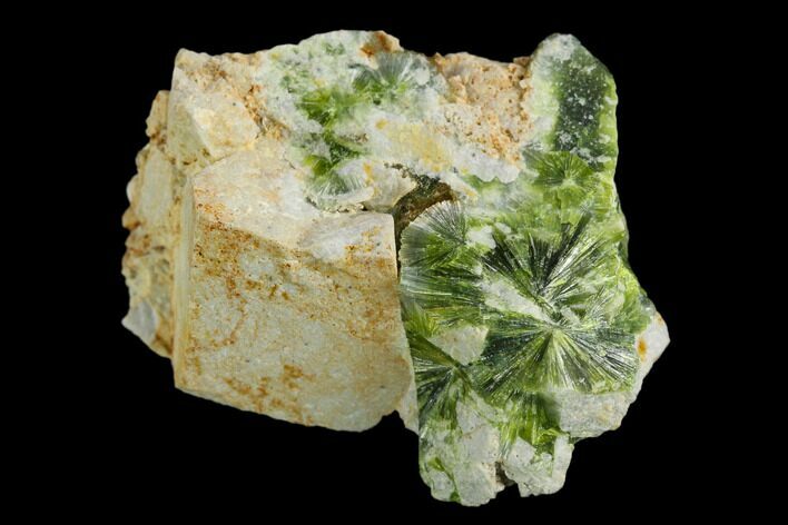 Radiating, Green Wavellite Crystal Aggregation - Arkansas #127140